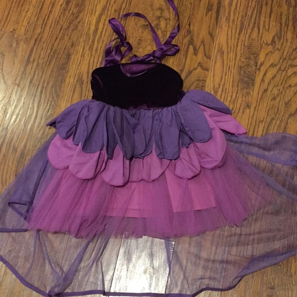 Dollcake Other - Dollcake sz 5 NWT dress